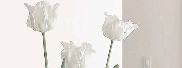 y.❄さんの壁紙画像