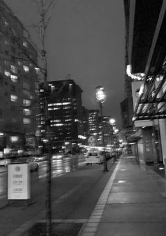 失声症と難聴の患う兄弟は、ある兄弟に恋をする