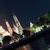 向井康二郎さんのアイコン画像