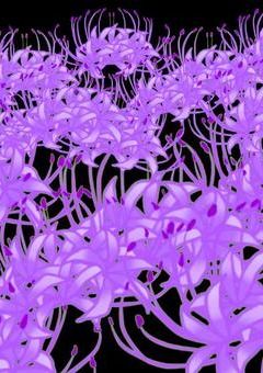 ポムフィオーレ寮ののんびり屋！