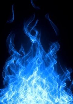 無口なあの子は龍使い