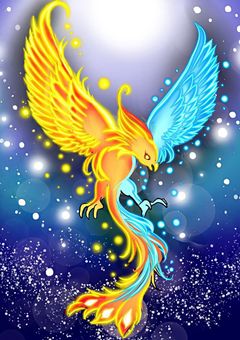 不死鳥少女は雄英四天王