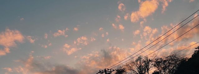 春音🌸🎧　フォローしてくれたら返しますさんの壁紙画像