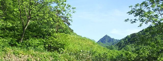 minnto🌱＠永遠のエンジョイ勢さんの壁紙画像