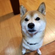 ユーリさんのアイコン画像