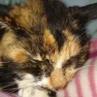 晴香さんのアイコン画像