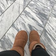 星風晴さんのアイコン画像