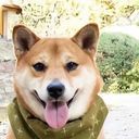 マネージャー