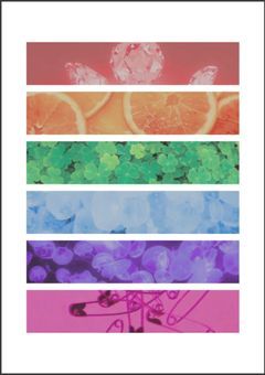 高嶺の花の魔王樣。(※書き直し検討中)