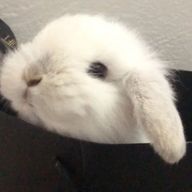 @ 椎名さんのアイコン画像