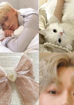 カットエージェントゲーム