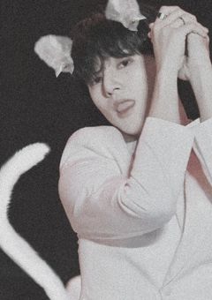 レンタルウヨちゃん