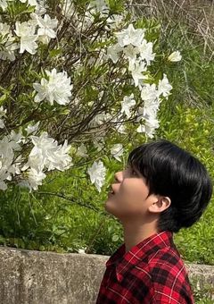 太陽は海に恋をする