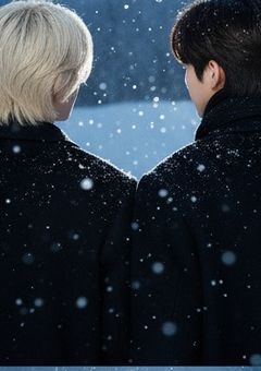 ミッドナイト・スワン