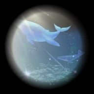 Suiさんのアイコン画像