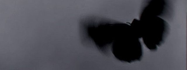 和楽🐈‍⬛🐾さんの壁紙画像