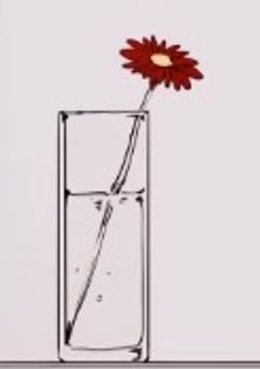 ほら見てよ    ほら触れてよ    凡庸な服を捨て去って 今サナギから    蝶になるの