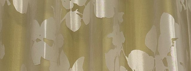 海希さんの壁紙画像