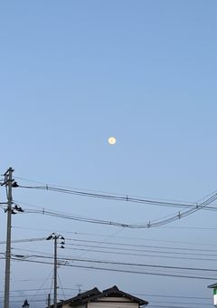 n r k r 部 屋 青 受 け 固 定
