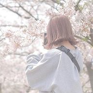728の子◉⁠‿⁠◉さんのアイコン画像