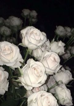 天人五衰のセコム