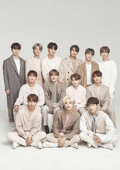 反韓BG+日本好きSVT