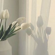 り。さんのアイコン画像