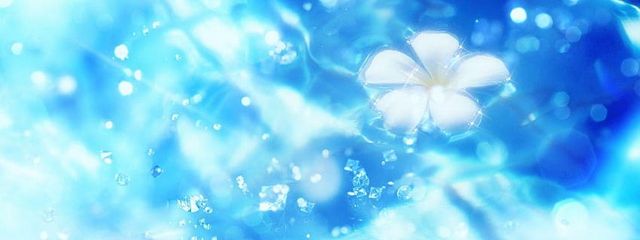 Neoさんの壁紙画像