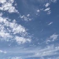 椛さんのアイコン画像