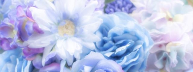 ☽・:*リーナ•*¨*•.¸¸☆*・゚さんの壁紙画像