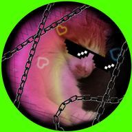 PTさんのアイコン画像