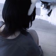 @ : ââ¯ðŸ .ããã®ã¢ã€ã³ã³ç»å