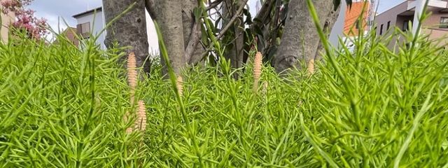 東リべ大好き〜さんの壁紙画像