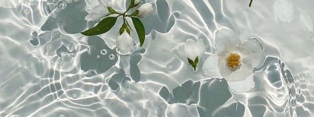 ☁️ももか☁️ さんの壁紙画像