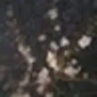 meyuyuさんのアイコン画像