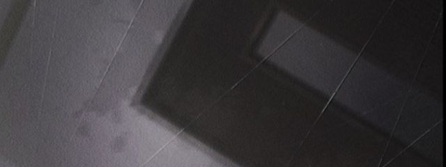 ( ᐛ )さんの壁紙画像