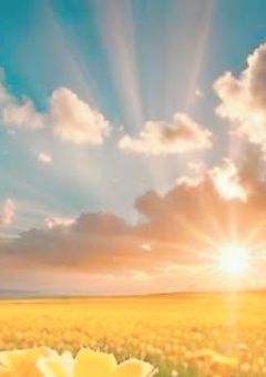 黄色いあの子に花が咲く。