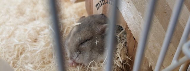 　ururuさんの壁紙画像