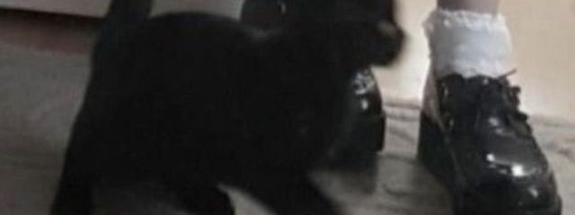 s o r a   .さんの壁紙画像