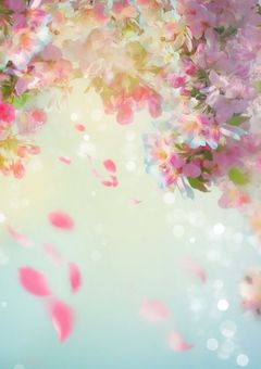 花🌸💛🥀様専用部屋