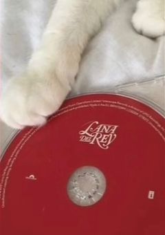 君 と ぶ つ か っ た あ の 日 か ら 。