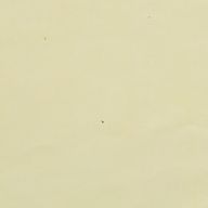 るんさんのアイコン画像
