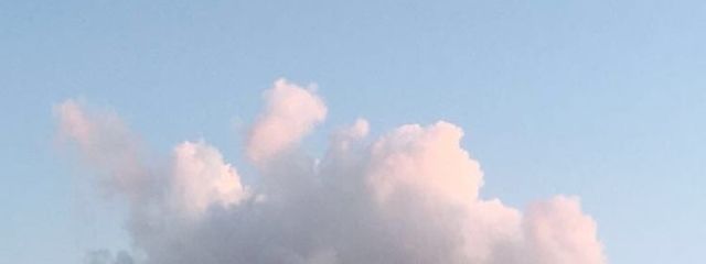 fkdさんの壁紙画像