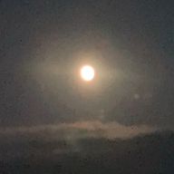 須玉さんのアイコン画像