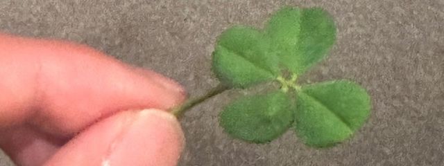 悠さんの壁紙画像