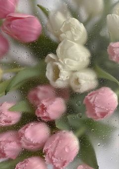 君の隣