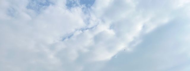 黒鷺💜🐈‍⬛🦋さんの壁紙画像