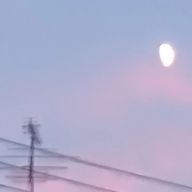 りおまる。さんのアイコン画像