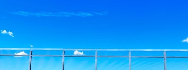 べにちゃ #こりんの最古参さんの壁紙画像