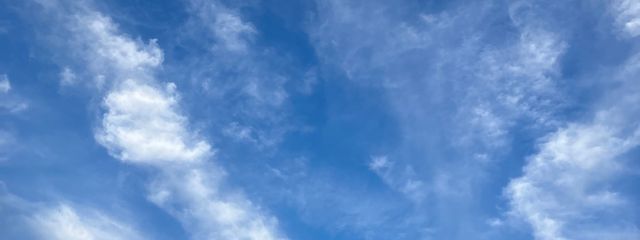 天野怜 🐈‍⬛⸒⸒⸒⸒❦͙➷🩵さんの壁紙画像